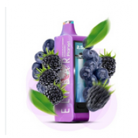 ELFBAR 25 000 Кисла смородина чорниця